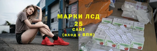 ПСИЛОЦИБИНОВЫЕ ГРИБЫ Алексин