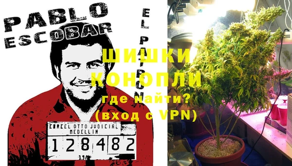 ГАЛЛЮЦИНОГЕННЫЕ ГРИБЫ Алзамай
